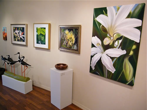 Juried Art Exhibition for East Maui Watershed Partnership