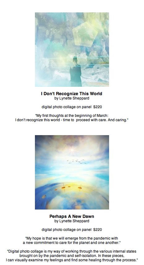 Through the Eyes of the Artists II - 2020